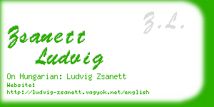 zsanett ludvig business card